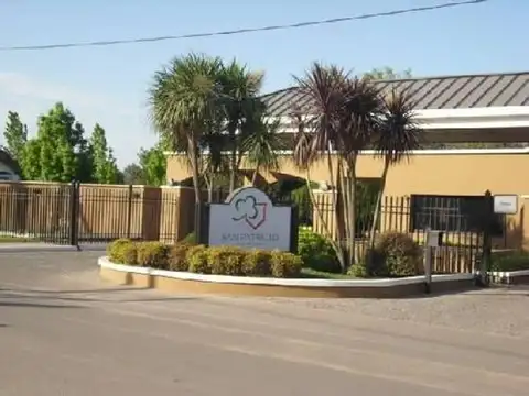 Carola Lorenzini 4900