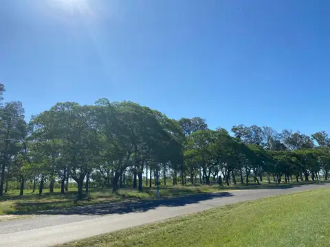 Terreno en Venta en Concordia, USD 75.000