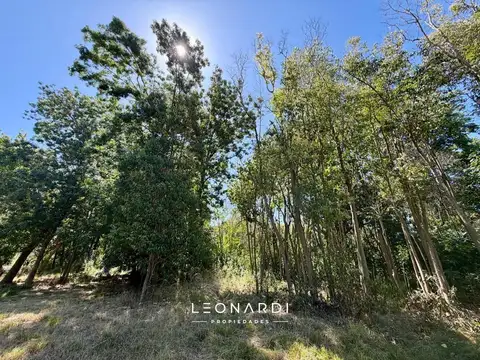 Lote en venta en Matheu