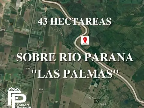 43 hectareas sobre Rio Parana