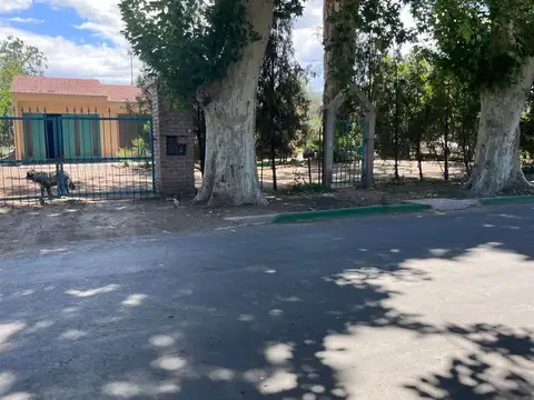 VENTA FINCA EL PLUMERILLO LAS HERAS MENDOZA