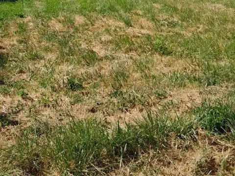 Terreno en Venta 37  mts Fondo