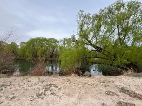 Terreno en Venta en Cervantes, USD 5.000