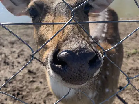 Terreno en Venta en La Reserva Del Oeste, USD 30.000
