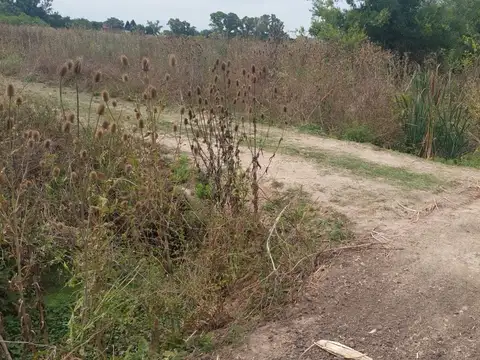 Venta de  4  hectareas con posibilidad de 2 has mas  para desarrollo en Arana