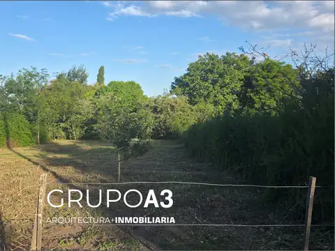 Pública 100, Piso 00