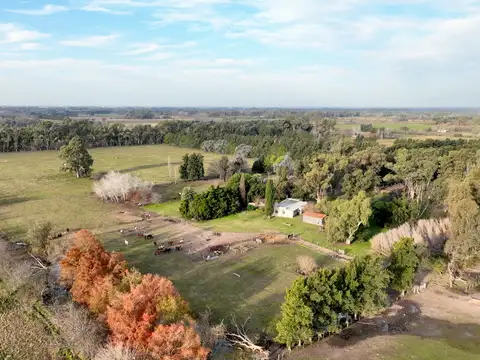 Campo en venta en Etchegoyen