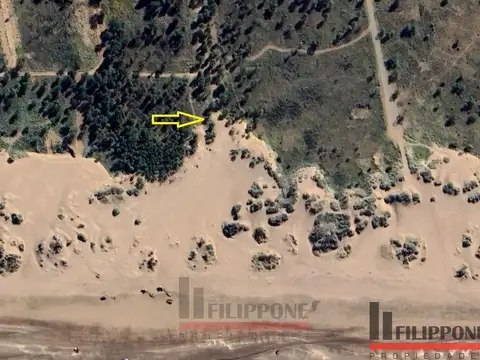 Barrio Parque Reserva Darwin Pehuen 100