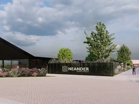 VENDE TERRENO EN VILLA AMELIA/FINANCIACION NEANDER