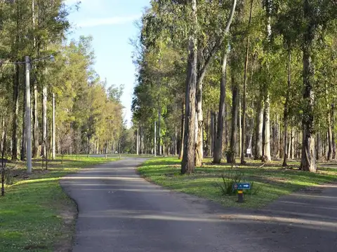 Casa 5 ambientes con 1 baño