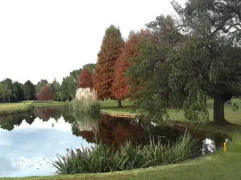 Terreno en Venta 40  mts Fondo