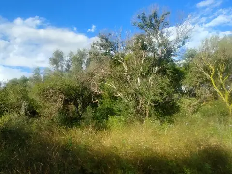 Lote para vivienda a 1 cuadra Av. Fermín Romero 800 m2