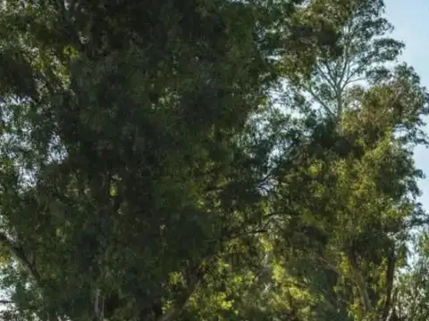 Terreno en Venta de 1000,0 m2