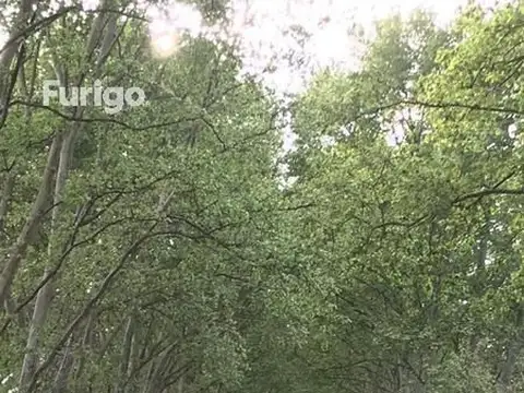 Terreno en Soldini - Ideal fin de semana