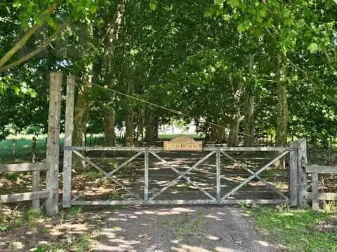 Quinta en Alquiler con 4 cocheras