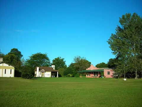 Las Heras y Murillo 100