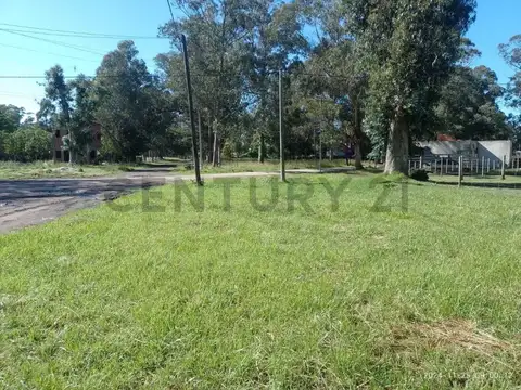 Oficina en Venta 2025 años