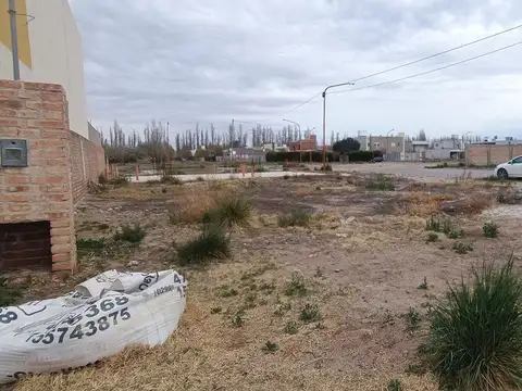 Buenos Aires y Concepción del Uruguay