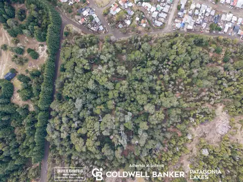 VENTA Lote/terreno 387,39 m2 Loteo Quetrihue, Selva Triste, Villa la Angostura