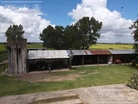Campo Agricola de 55 has con estupendas mejoras en  San Miguel del Monte
