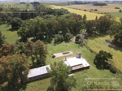 CAMPO DE 55HAS - 100% AGRICOLA - CON IMPORTANTE CASCO PARA DISFRUTAR CERCA DE BS.AS.