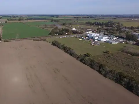 BERNABE DE SAN MARTIN