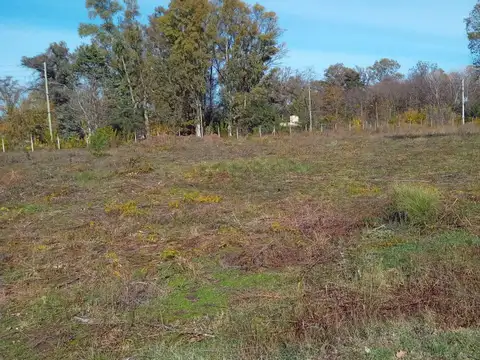 Barrio Carabassa Pilar