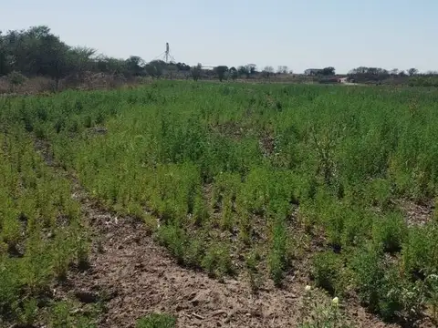 Terreno en Venta de 43000,0 m2