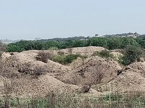 Terreno en Venta de 43000,0 m2