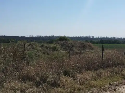 Terreno en Venta en Caseros Este, USD 800.000