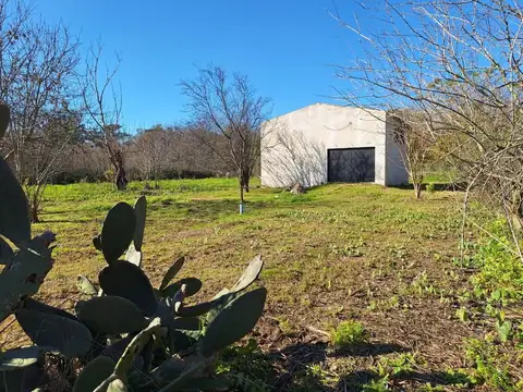 GALPON EN VENTA EN BRANDSEN