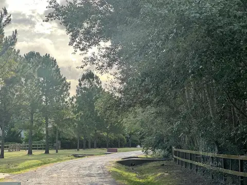 Terreno en Venta 87  mts Frente