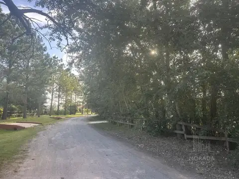 Terreno en Venta de 4985,0 m2