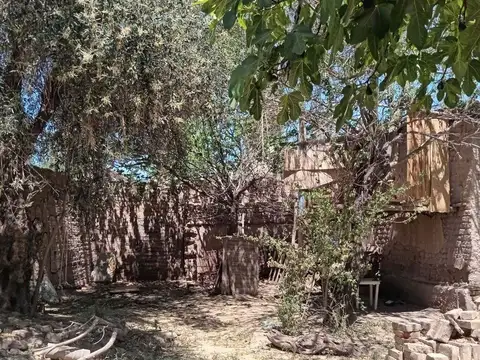 CARLOS PELLEGRINI 300