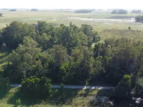 CAMPO/FRACCIÓN PRODUCTIVA 9 HECTÁREAS , VERONICA.