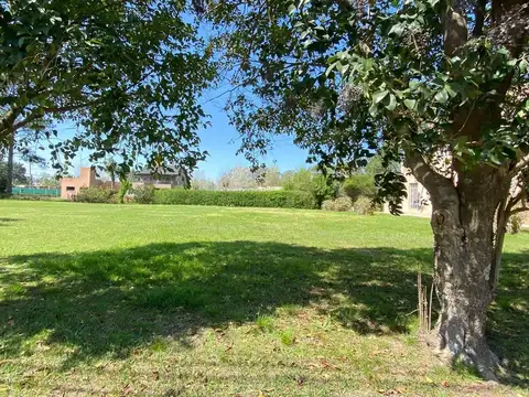 Pedro Nolasco Carrion 400