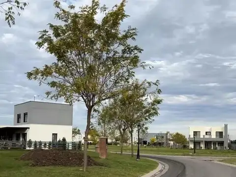 Terreno en Venta de 557,0 m2