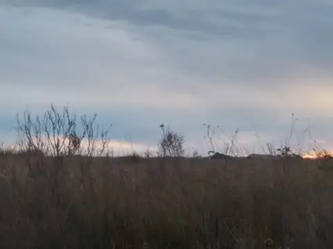 Jamaica e/ Bolivia y Brasil