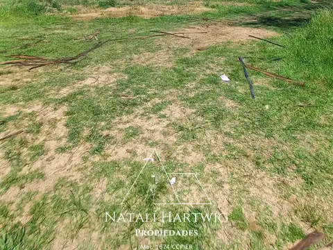 Campo en Venta Agrícola