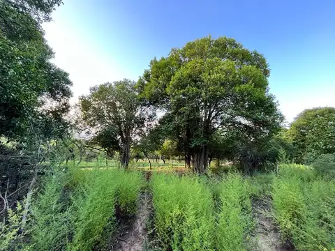 Santa Mónica residencial(2158)
