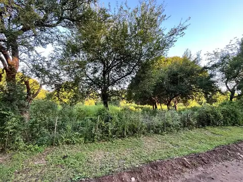 Venta de 2 grandes terrenos B° Santa Mónica ( Cód. 2158 )