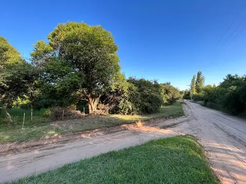 Venta de 2 grandes terrenos B° Santa Mónica ( Cód. 2158 )