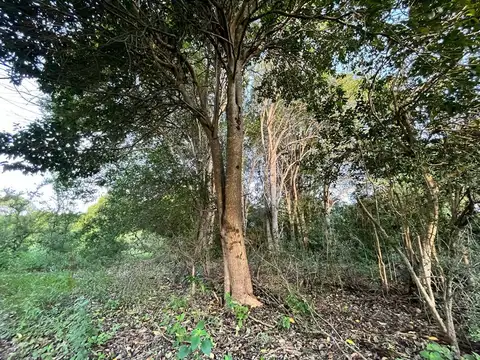 Santa Mónica residencial(2158)