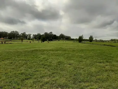 Terreno en Venta de 600,0 m2