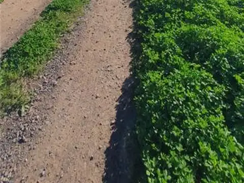 Terreno en Venta 16,50  mts Frente