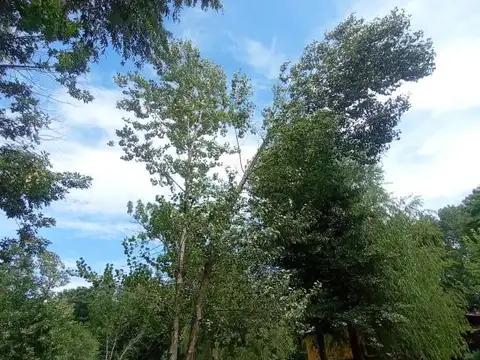 Cabañas en venta - 3 Dormitorios 3 Baños - 57.461Mts2 - Tigre