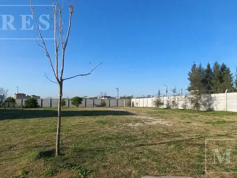 Lote en venta en Carpinchos, Nordelta