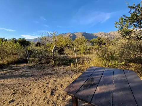 Local en Alquiler A Estrenar