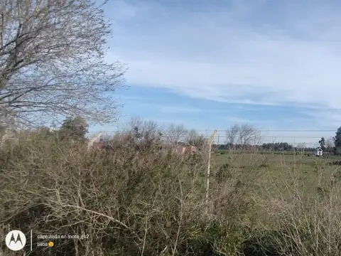 12 e/ 303 y Ruta Provincial