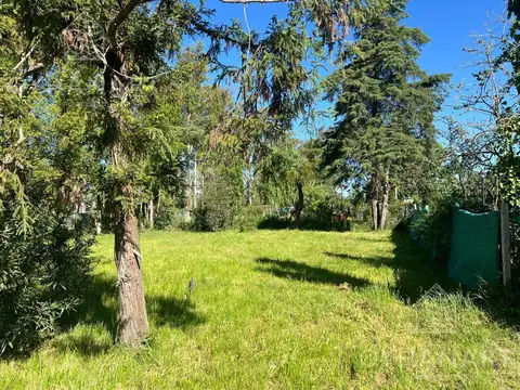 Terreno en Venta de 250,0 m2